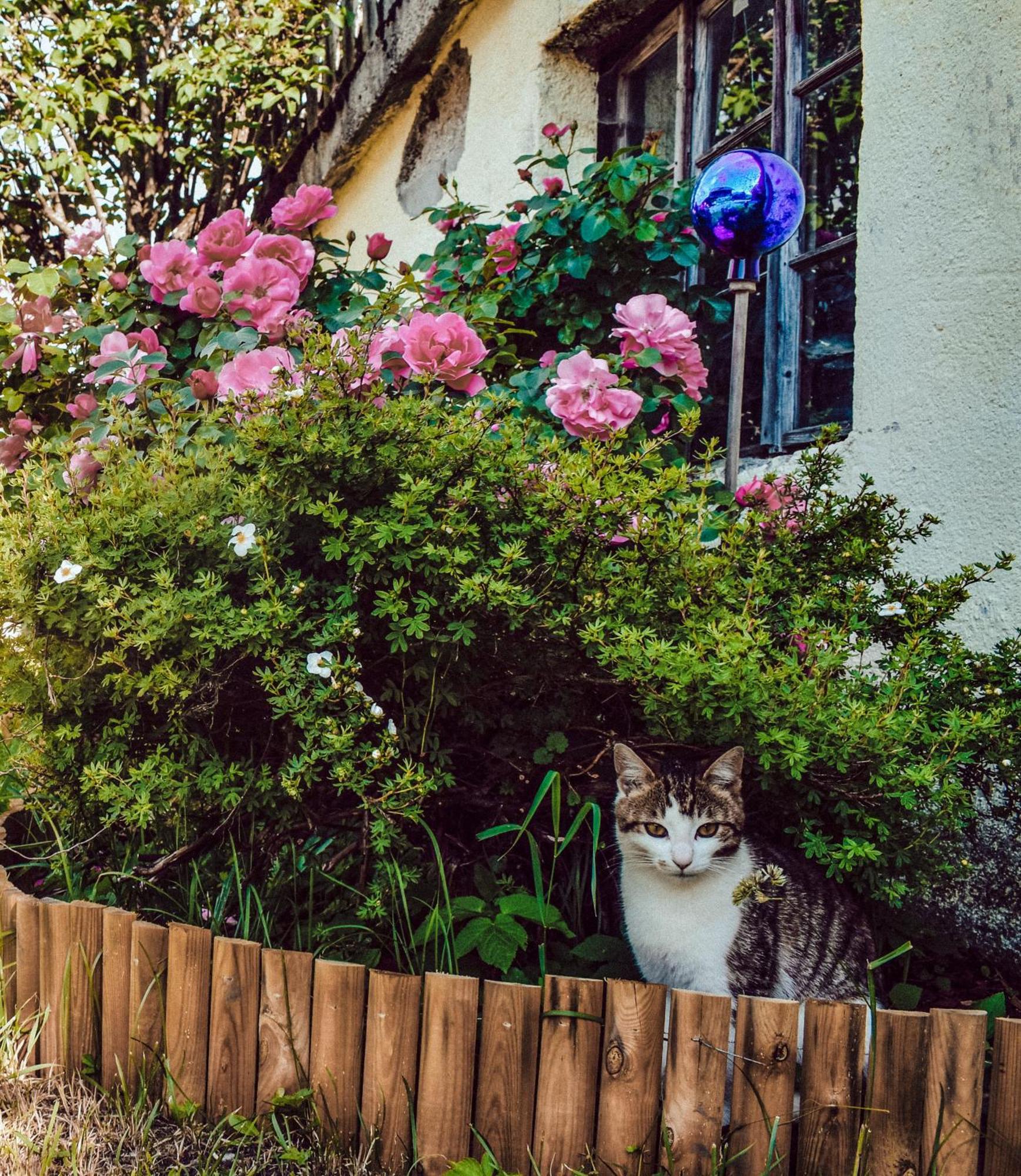 Stoanerhof Daire Schladming Dış mekan fotoğraf