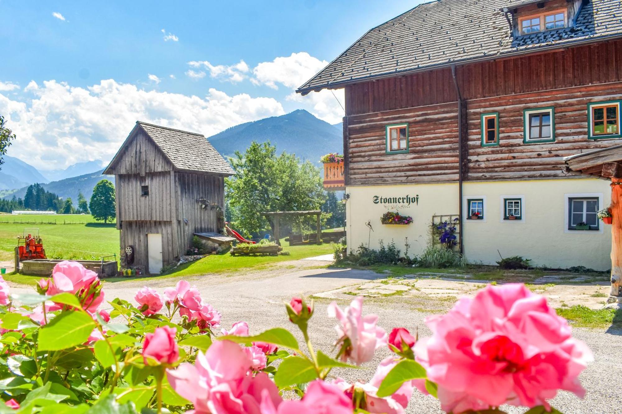 Stoanerhof Daire Schladming Dış mekan fotoğraf